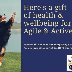 Agile & Active Dog