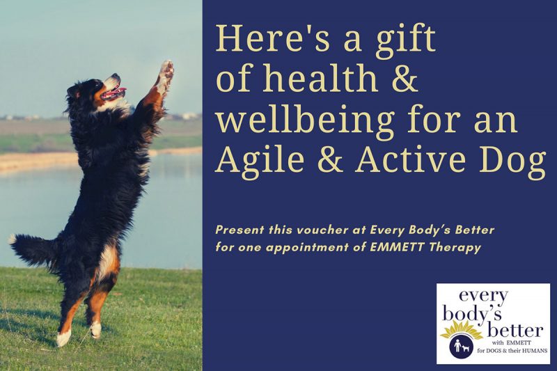 Agile & Active Dog